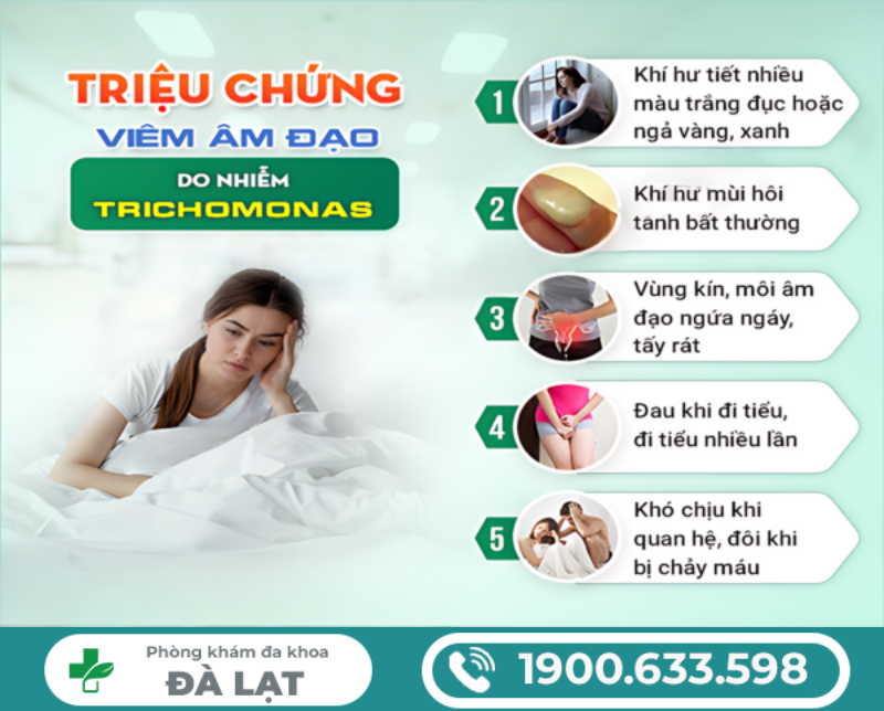 Hình ảnh minh họa